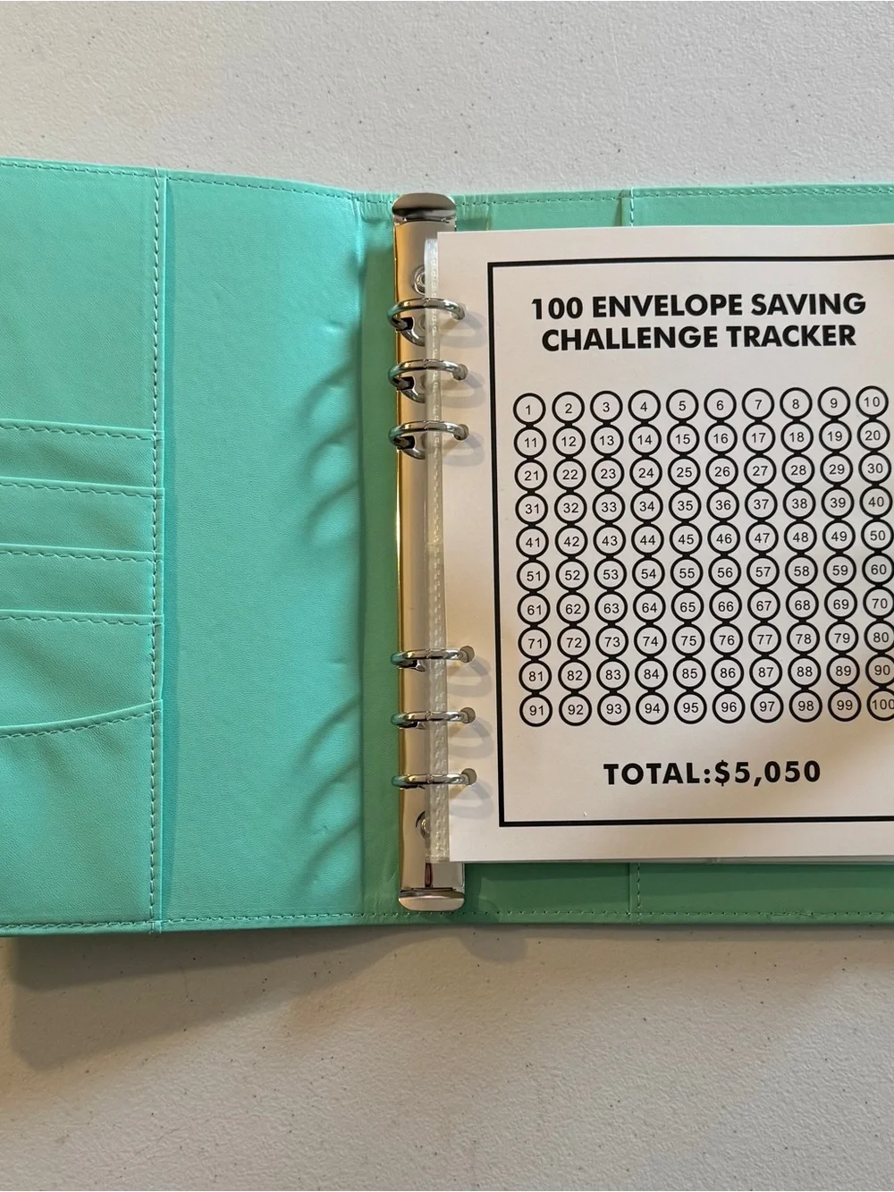 100 Envelope Savings Challenge Binder - Mint Green